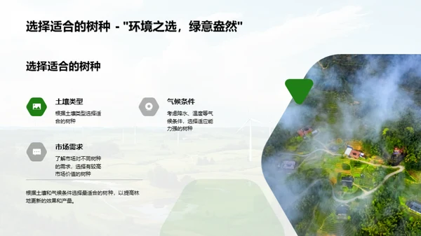 林地更新技术探索