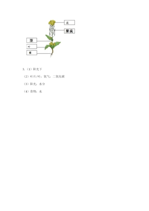 科学四年级下册第一单元植物的生长变化测试卷精品【名师系列】.docx