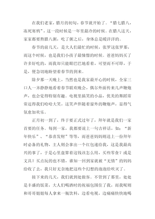 我家的春节作文600字.docx