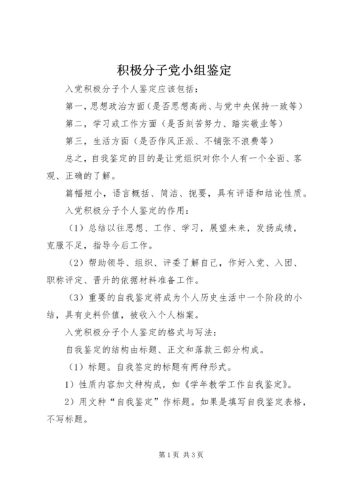 积极分子党小组鉴定.docx
