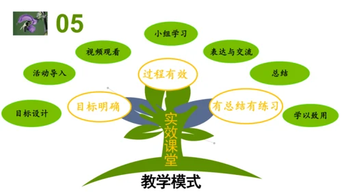 2.2.3植物体的结构层次 【说课课件】2023--2024学年人教版生物七年级上册(共42张PPT