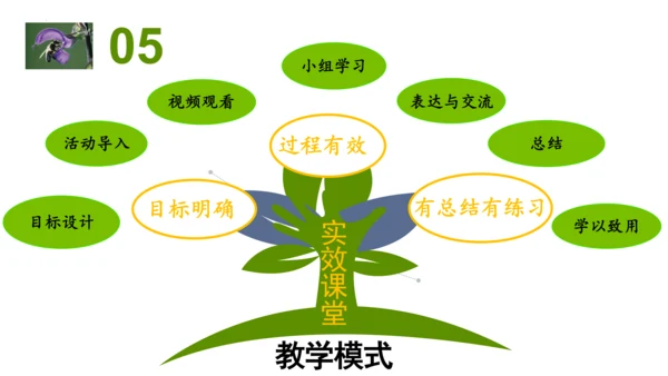 2.2.3植物体的结构层次 【说课课件】2023--2024学年人教版生物七年级上册(共42张PPT