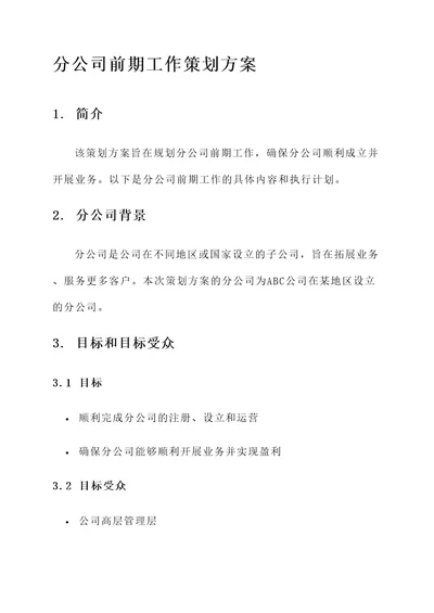 分公司前期工作的策划方案