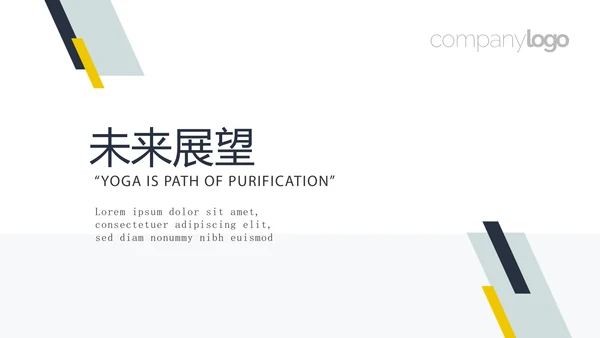药品稽查工作总结动态PPT