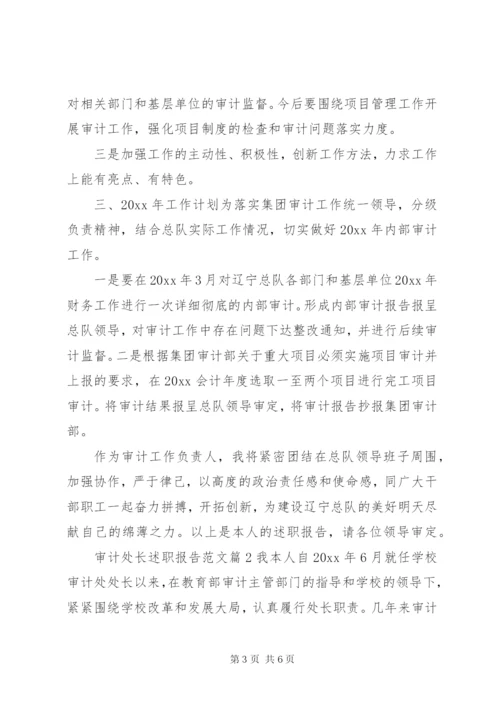 审计处长述职报告范文.docx