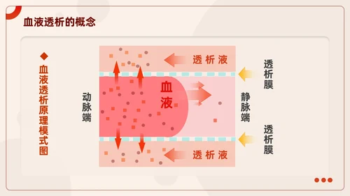 红色插画风血液透析及并发症知识医护人员培训医疗健康护理PPT血透