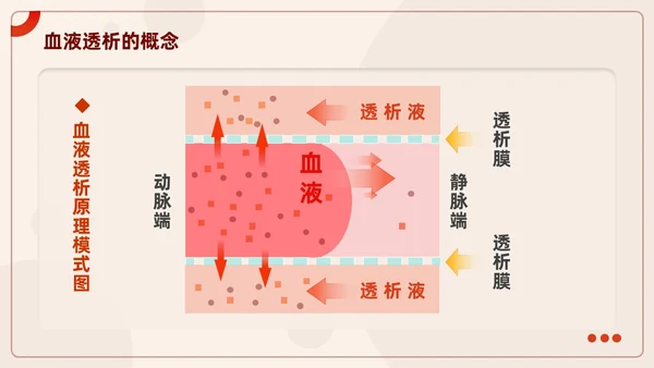红色插画风血液透析及并发症知识医护人员培训医疗健康护理PPT血透
