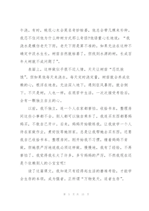 中班保育员教育随笔5篇范文.docx