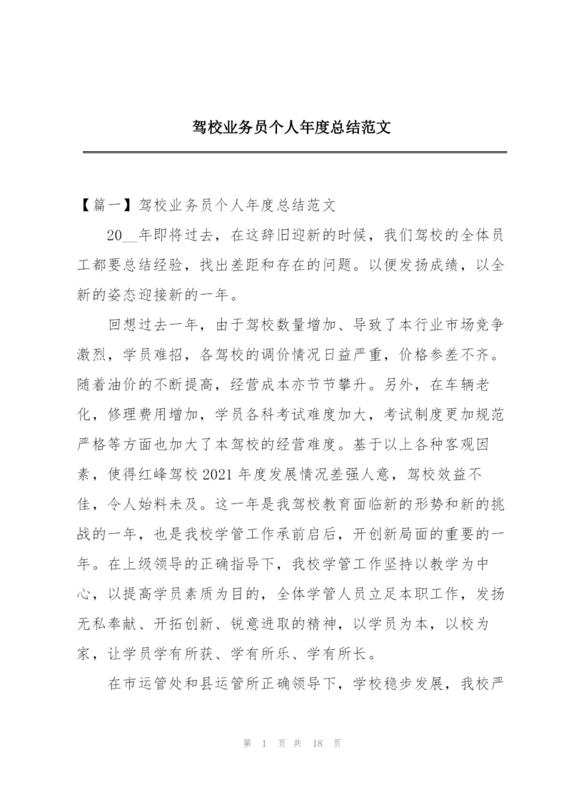 驾校业务员个人年度总结范文.docx