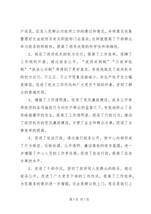 乡镇政务公开工作的经验总结.docx