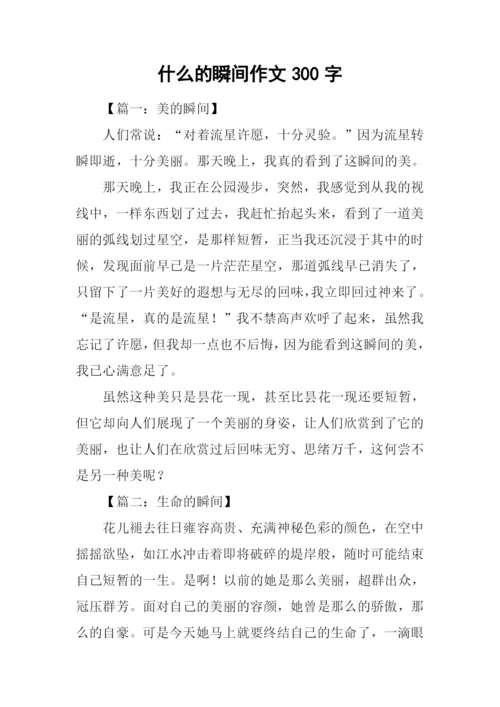 什么的瞬间作文300字.docx