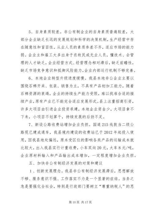 县非公有制经济发展情况自查汇报.docx