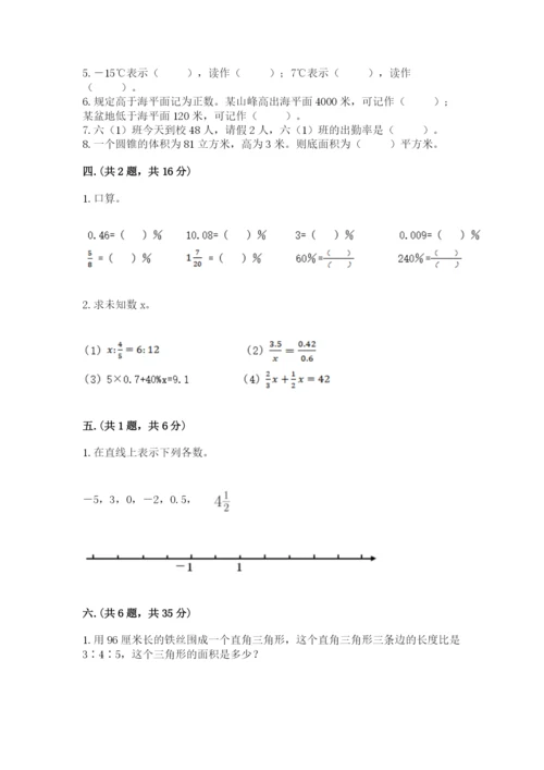 小学六年级升初中模拟试卷【典优】.docx