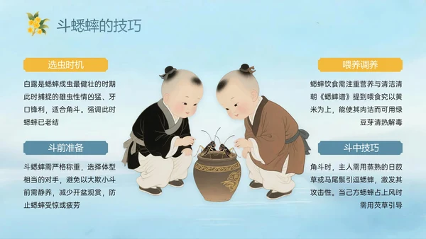 蓝绿黄色中国风白露节气PPT模板