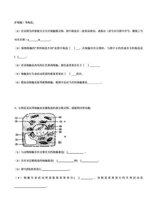 2023年宁夏自主招生生物模拟试题细胞壁.docx