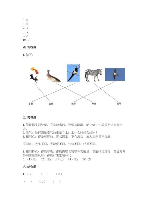 教科版一年级下册科学期末测试卷含答案（新）.docx