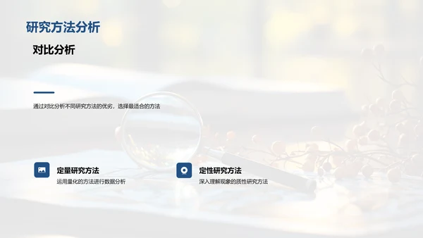 学术研究之路