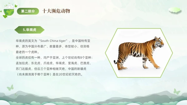 绿色清新剪纸风保护濒危动物拯救美好生命主题PPT世界动物日