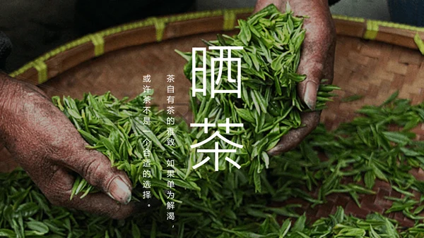绿茶中国风茶道茶文化绿茶茶味通用PPT模板
