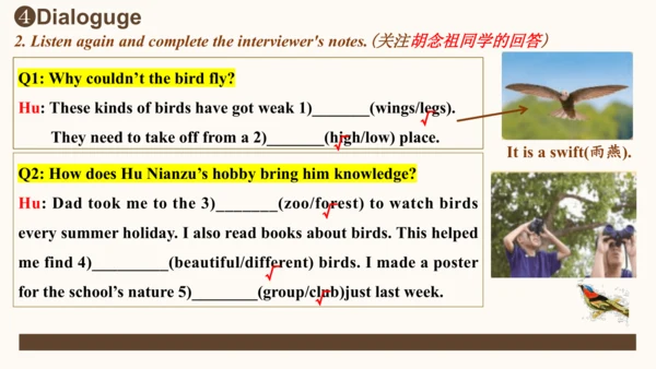 Unit 2 More than fun Developing ideas（教学课件）-2024-2