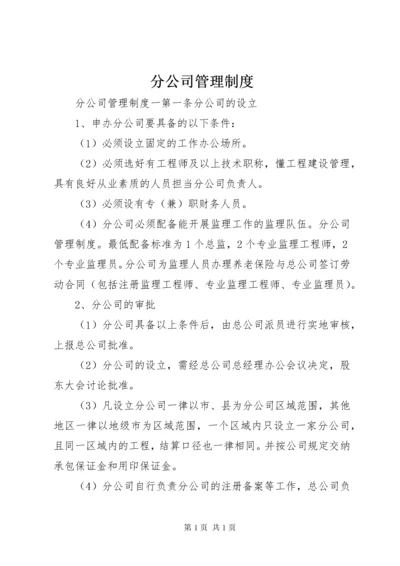 分公司管理制度 (7).docx