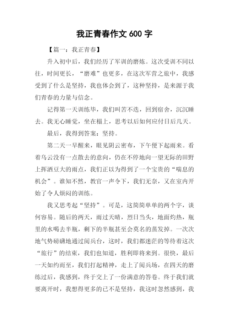 我正青春作文600字.docx