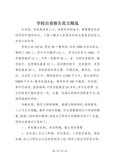 学校自查报告范文精选.docx