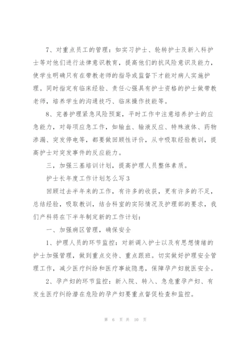 护士长年度工作计划怎么写合集.docx