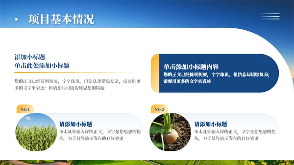 乡村振兴项目工作汇报通用PPT模板