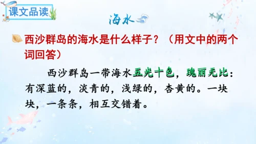 18.富饶的西沙群岛   课件