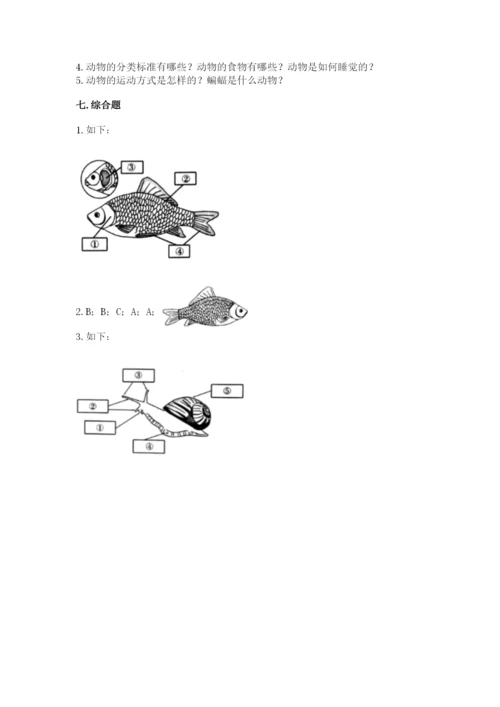 教科版一年级下册科学期末测试卷（夺分金卷）.docx