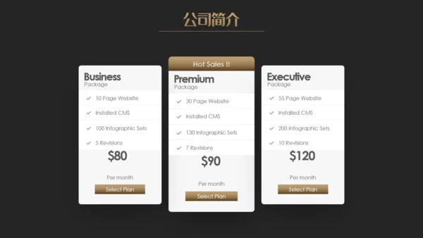 公司介绍全球化地球商务通用PPT模板