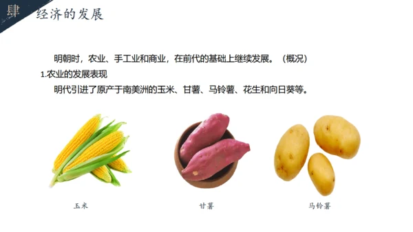 初中历史教学课课件通用PPT模板