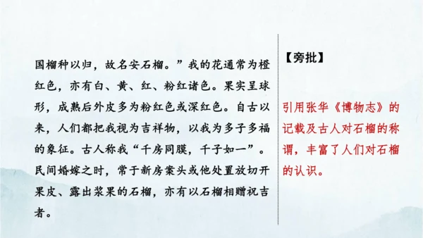 统编版语文八年级下册第二单元写作《说明的顺序》课件(共49张PPT)