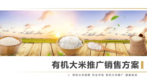健康绿色有机大米农业粮食推广销售PPT模板