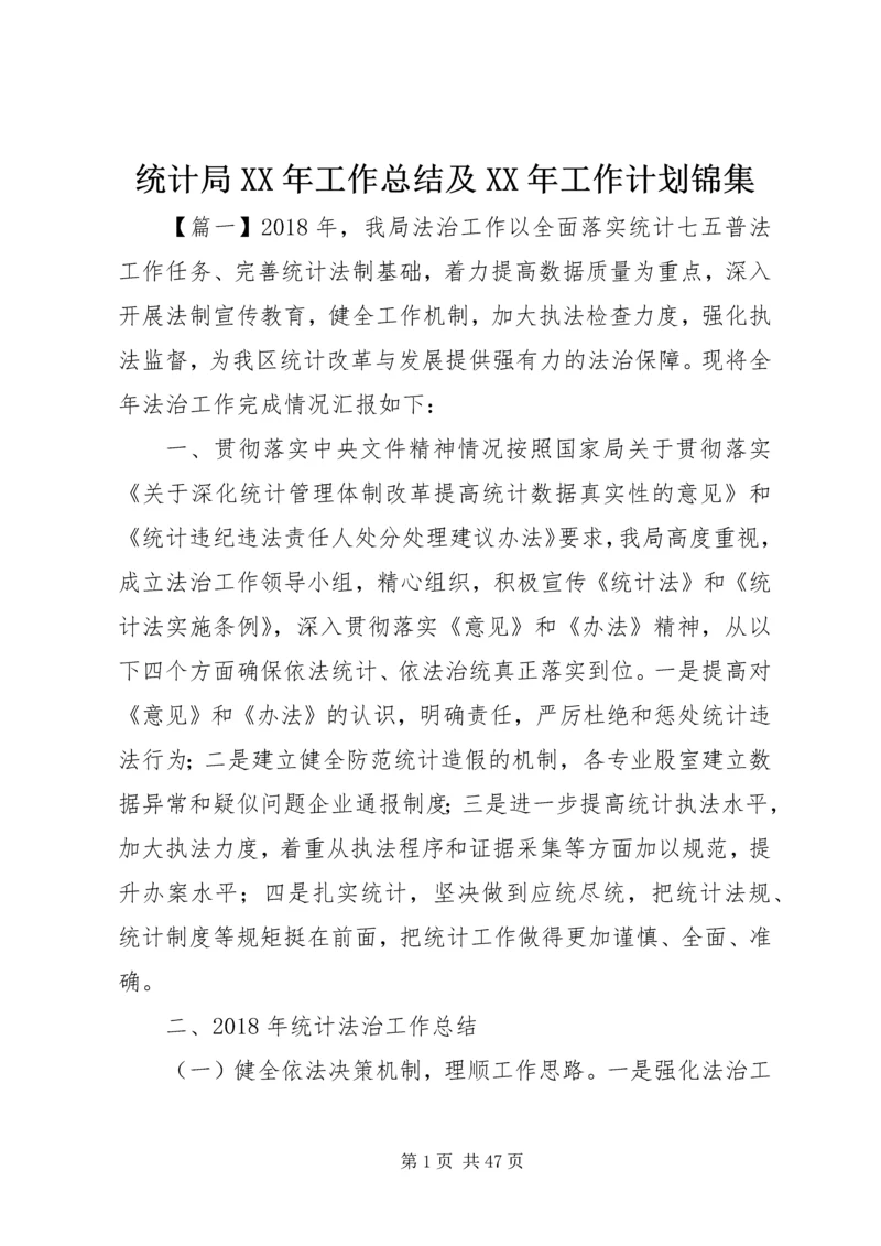 统计局XX年工作总结及XX年工作计划锦集 (2).docx