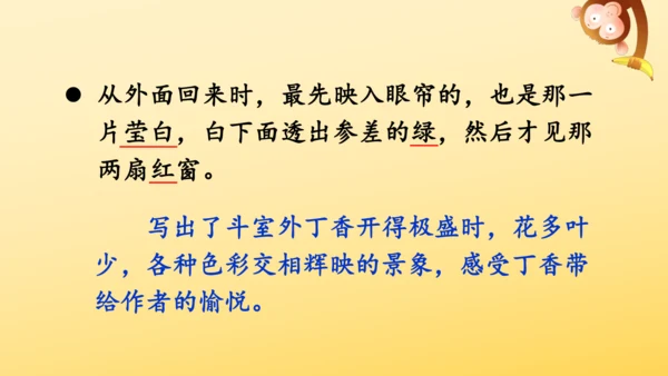 2 丁香结  课件