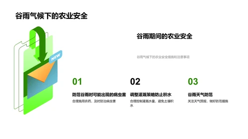 谷雨节气的农业影响