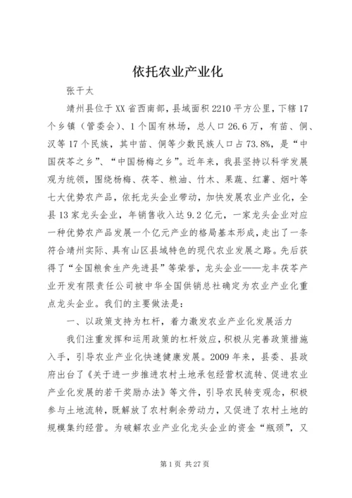 依托农业产业化_1.docx