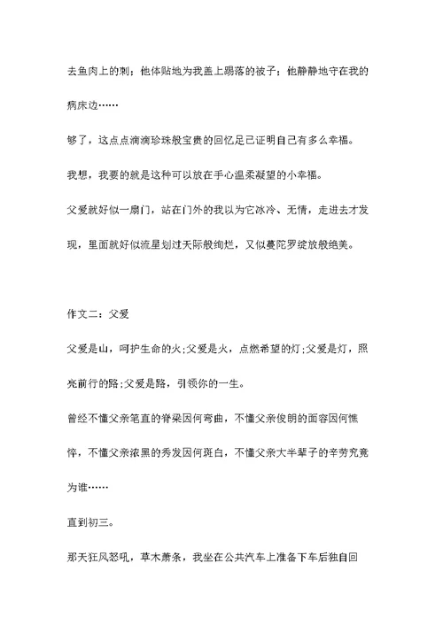 父爱亲情中考满分作文