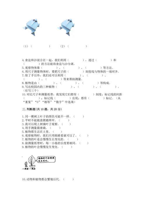 教科版科学一年级上册期末测试卷精品【a卷】.docx