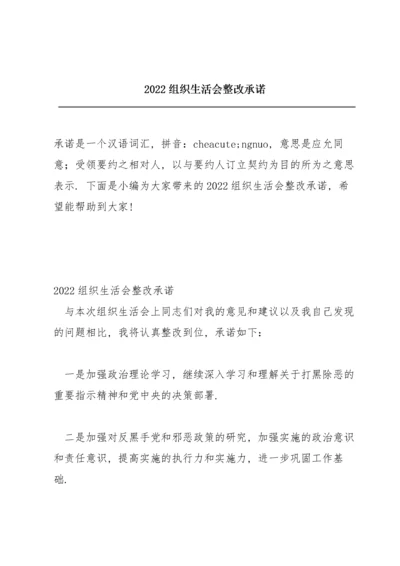 2022组织生活会整改承诺.docx