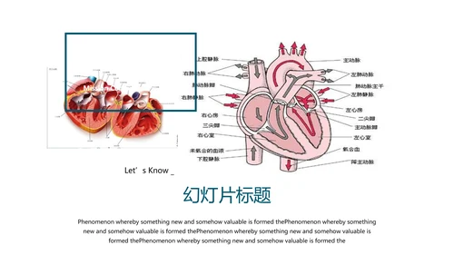 人体器官分布医学医疗ppt动态模板
