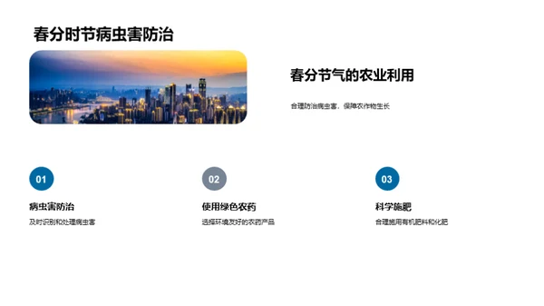 春分节气与农耕策略