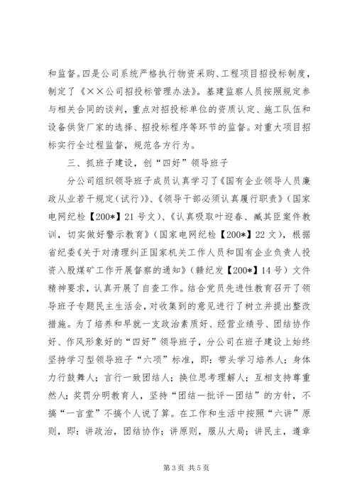 电力公司党风廉政建设自查报告.docx