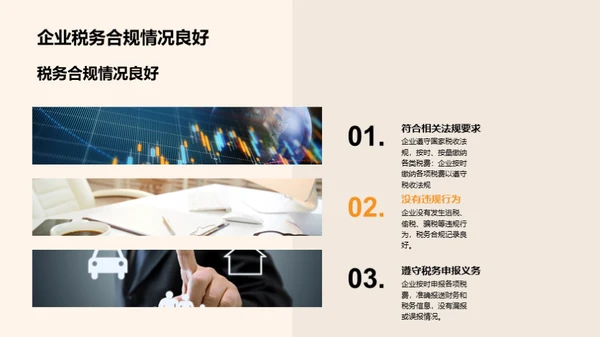 税务合规指导