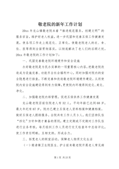 敬老院的新年工作计划.docx