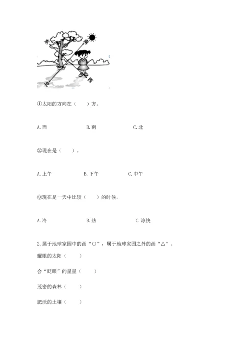 教科版科学二年级上册《期末测试卷》（研优卷）.docx