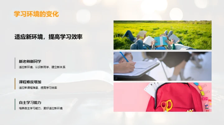 六年级：旅程回顾与展望