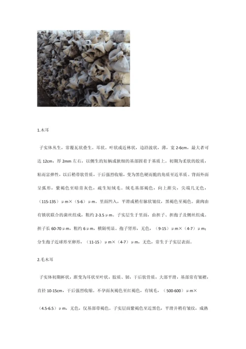 山东食用菌技术培训基地之黑木耳的基本认识.docx